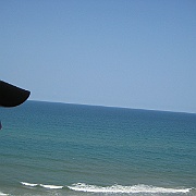 Picture 017